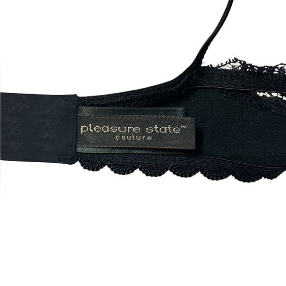 NWOT Pleasure State contour plunge lightly padded push-up satin and lace bra - Picture 6 of 9